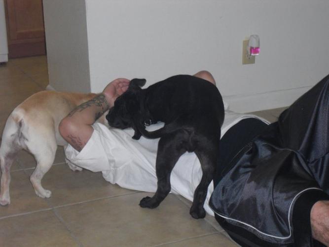 19748_1321699195563_1023317539_30983056_885657_n